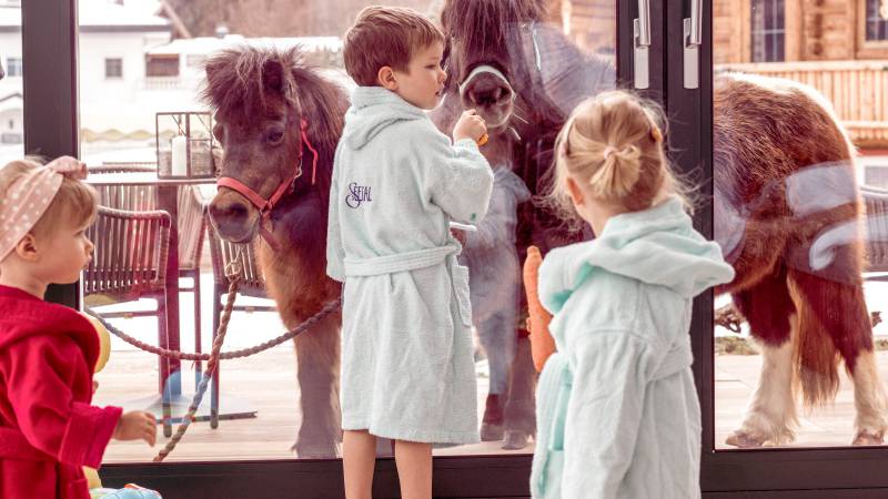 Familienhotel aus Leidenschaft