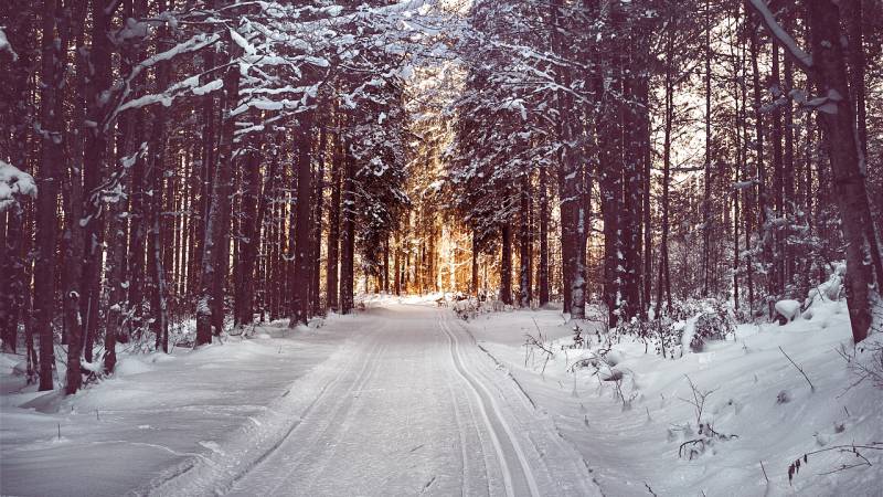 400km Winterwanderwege