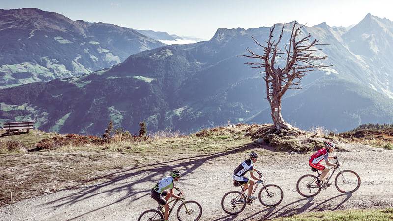 Mountainbike & E-Bike