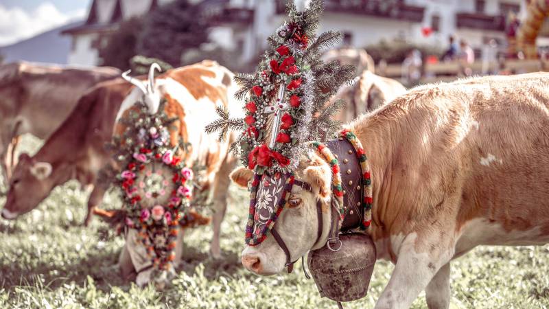 Events im Zillertal