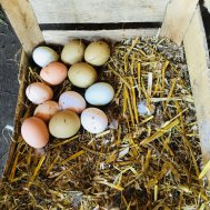 Besuch am Bauernhof - Seetals Kinderwelt, Bild 3/4