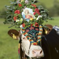 Bereit für den Gipfelsturm im Herbst?, Bild 3/4