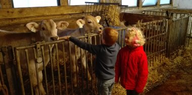 Besuch am Bauernhof - Seetals Kinderwelt, Bild 1/4